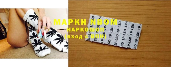 прущие грибы Алзамай