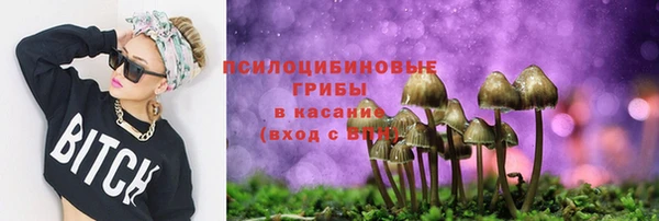 гидропоника Алексеевка