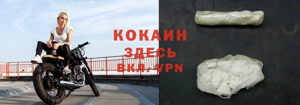 твердый Протвино