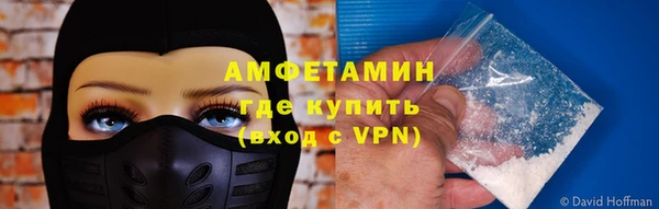 прущие грибы Алзамай