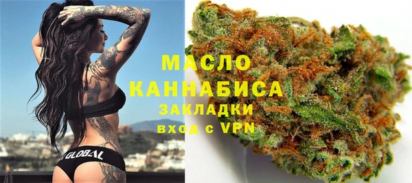 прущие грибы Алзамай