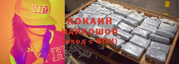 прущие грибы Алзамай