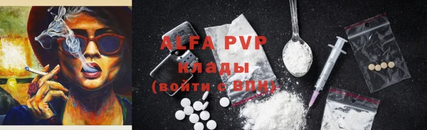 ешки Алексин